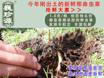 rx(chng)Ĳ շb 1/r(ji)100Ԫ/