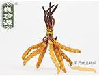 xĲ2l/ ڲ x؛r306Ԫ/