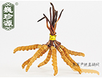 x(chng)Ĳ2.5l/ ڲ x؛r(ji)252Ԫ/